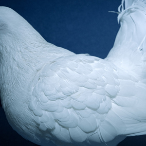 国内丝袜日B做爱网站
