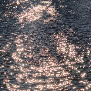 大巴车轮轩小说
