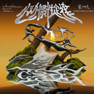 大鸡巴插淫荡穴
