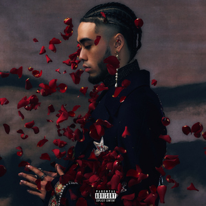 和式便所内のOL盗撮
