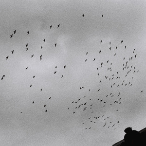 美女露胸无遮挡
