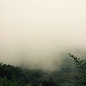 大巴车轮轩小说
