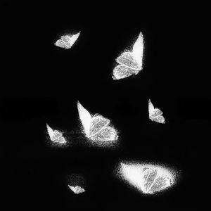 日本老熟女日BBBW
