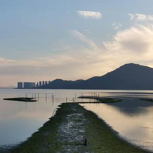 性乂X❌XFree❌乂
