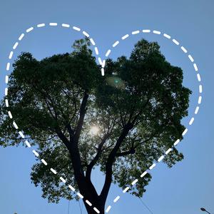 刺激影院大奶子
