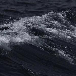 在线看骚屄女人的性刺激肏屄
