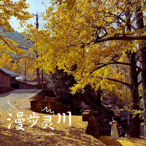 东京热久久综合
