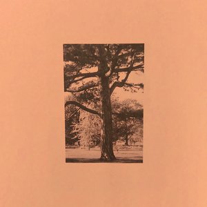 亚洲人做受❌❌❌高潮软件手机号
