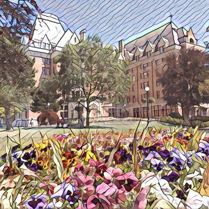 美女的隐私�9�2�1�5免费视频A片
