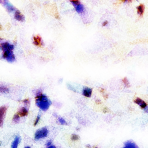 中文字幕AV久久激情亚洲精品
