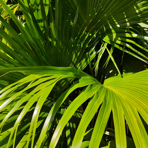 通野未帆插逼国语视频
