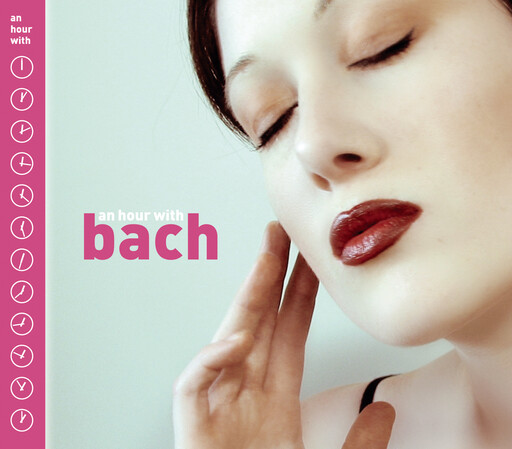 大巴车轮轩小说
